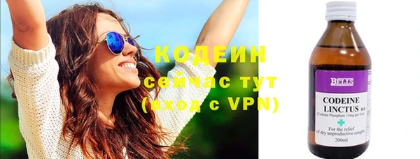 соль ск Пересвет