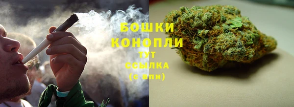 шишки Абинск