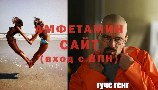 соль ск Пересвет